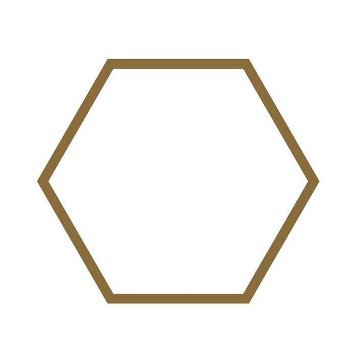 hexagone-01