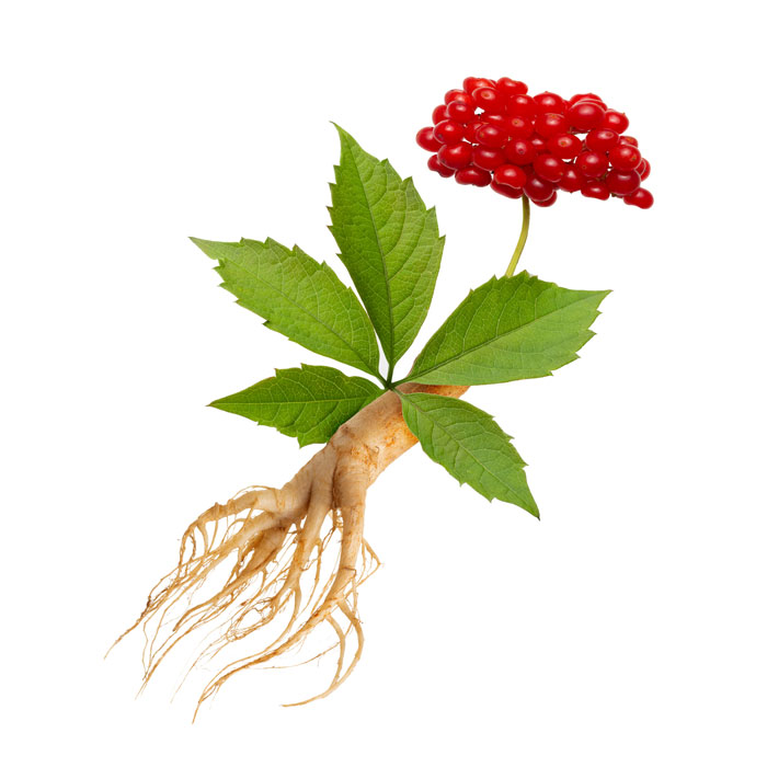 ginseng