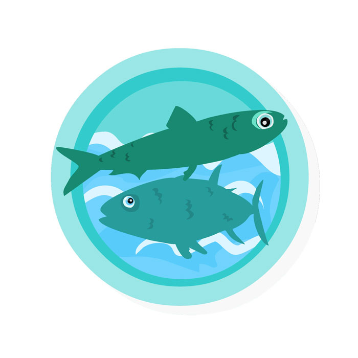 signe-poissons-enfant