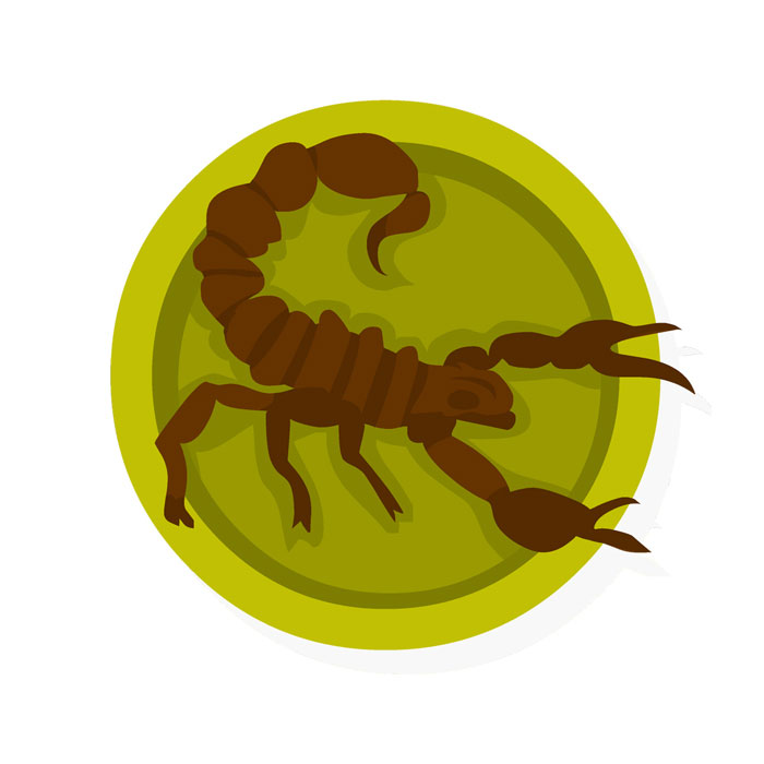 signe-scorpion-enfant