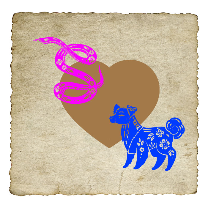compatibilite-amoureuse-chinoise-femme-serpent-homme-chien