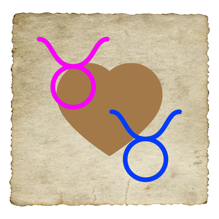 compatibilite-femme-taureau-homme-taureau
