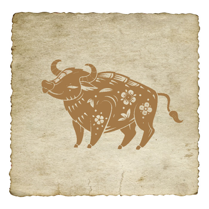 signe-astrologique-chinois-buffle-03