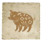 signe-astrologique-chinois-cochon-03