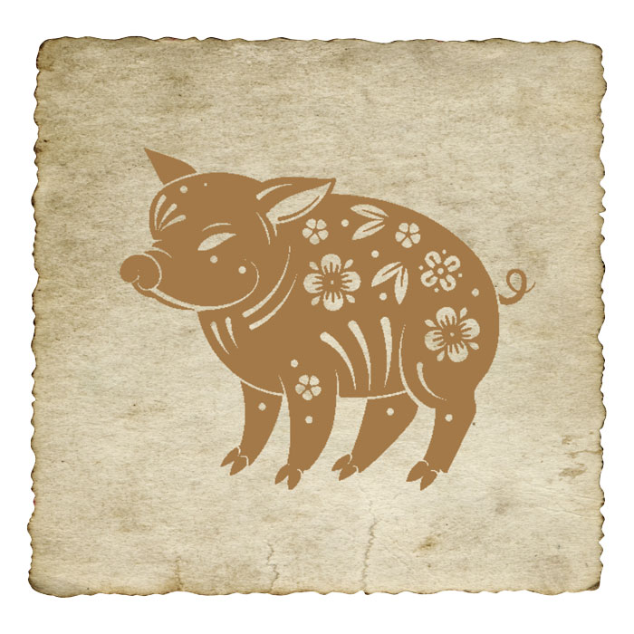 signe-astrologique-chinois-cochon-03