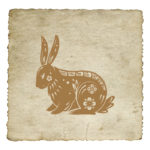 signe-astrologique-chinois-lapin-03