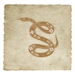 signe-astrologique-chinois-serpent-03
