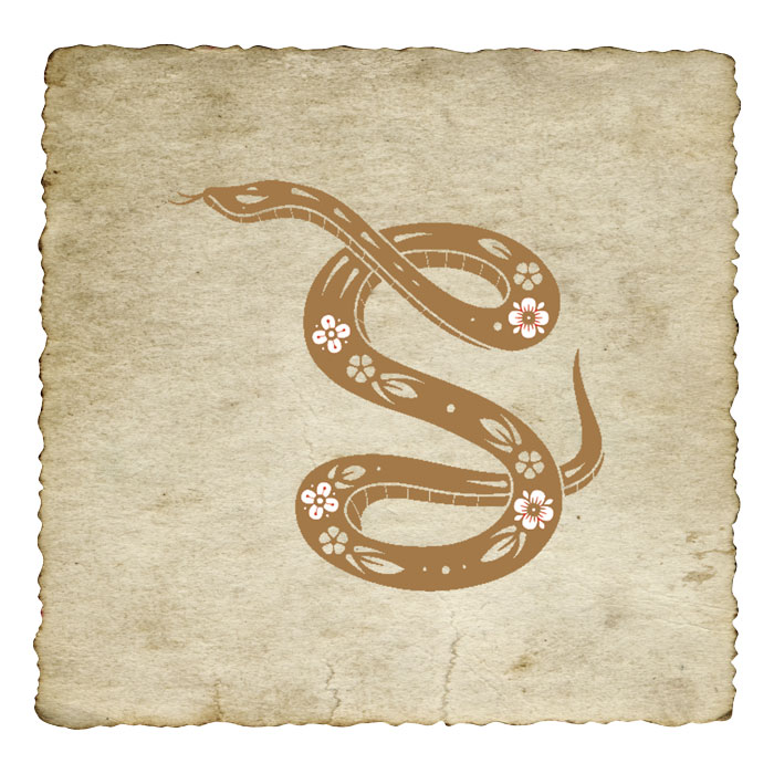 signe-astrologique-chinois-serpent-03