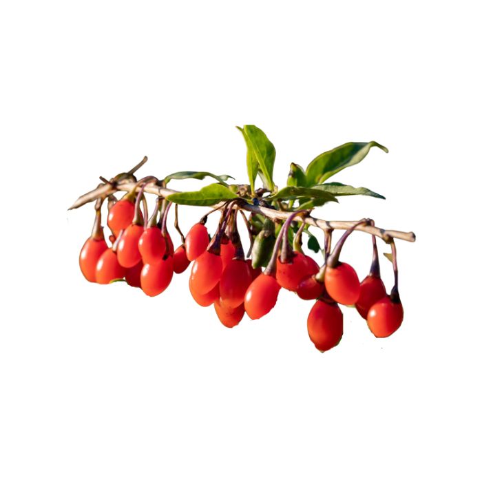 huile-essentielle-linaloe-baies