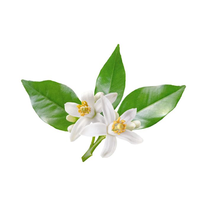 huile-essentielle-neroli