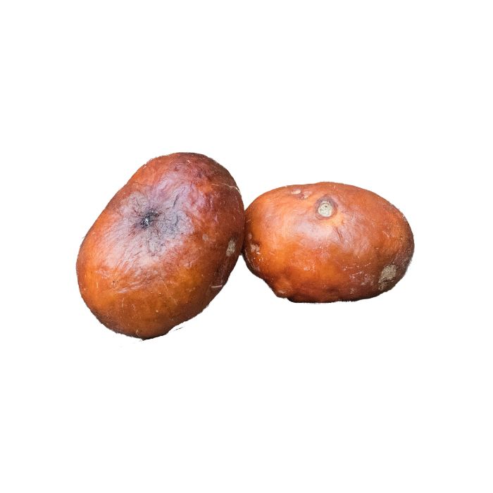 huile-essentielle-ravensare-aromatique