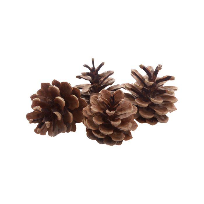 huile-essentielle-sapin-pectine