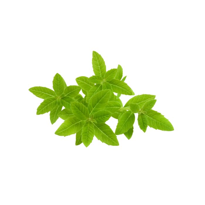 huile-essentielle-verveine-odorante