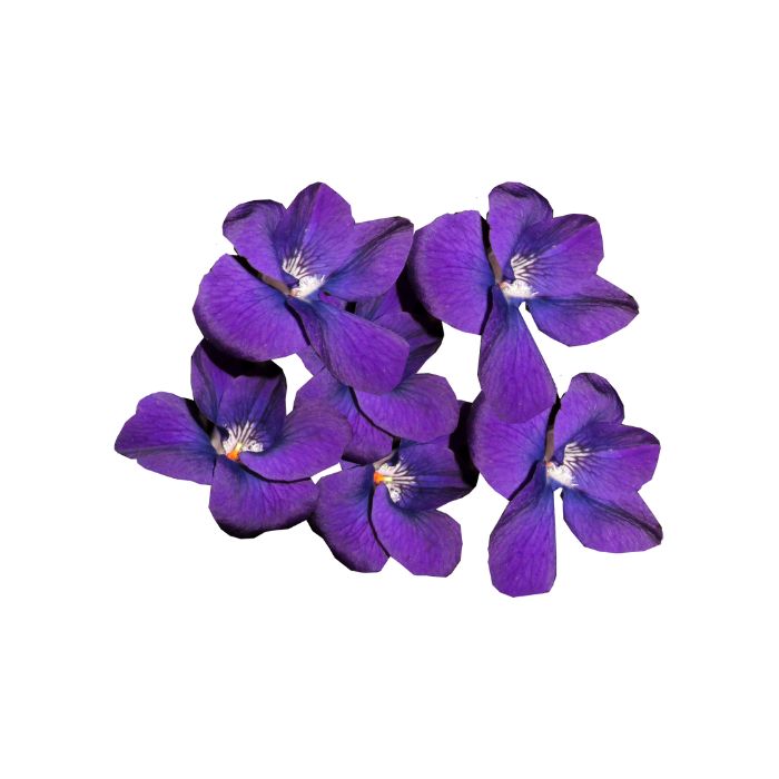 huile-essentielle-violette