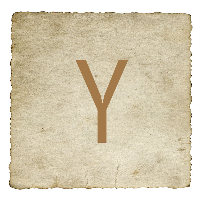 lettre-y