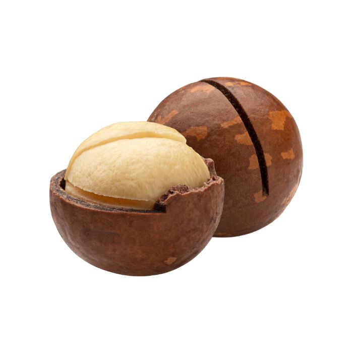 aliment-noix-macadamia