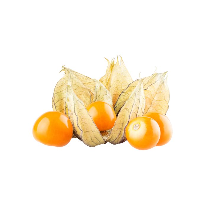 aliment-physalis