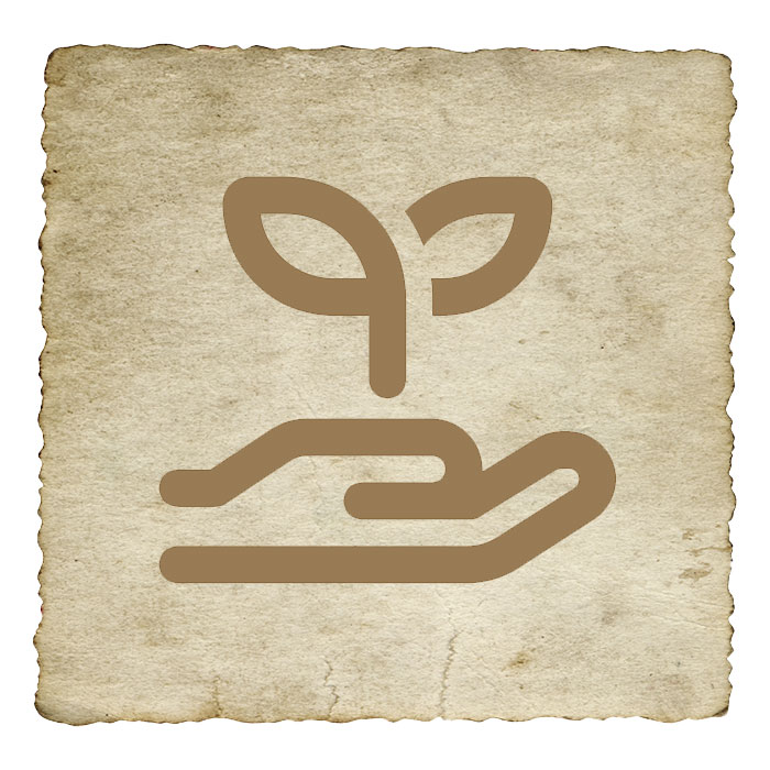 aromatherapie-utilisations