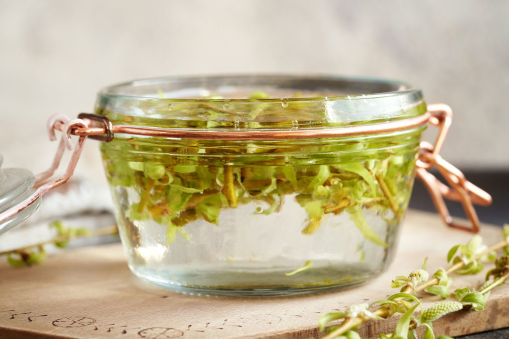 conservation-dosage-gemmotherapie