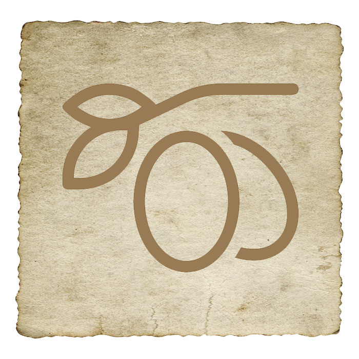 gemmotherapie-guide-des-extraits