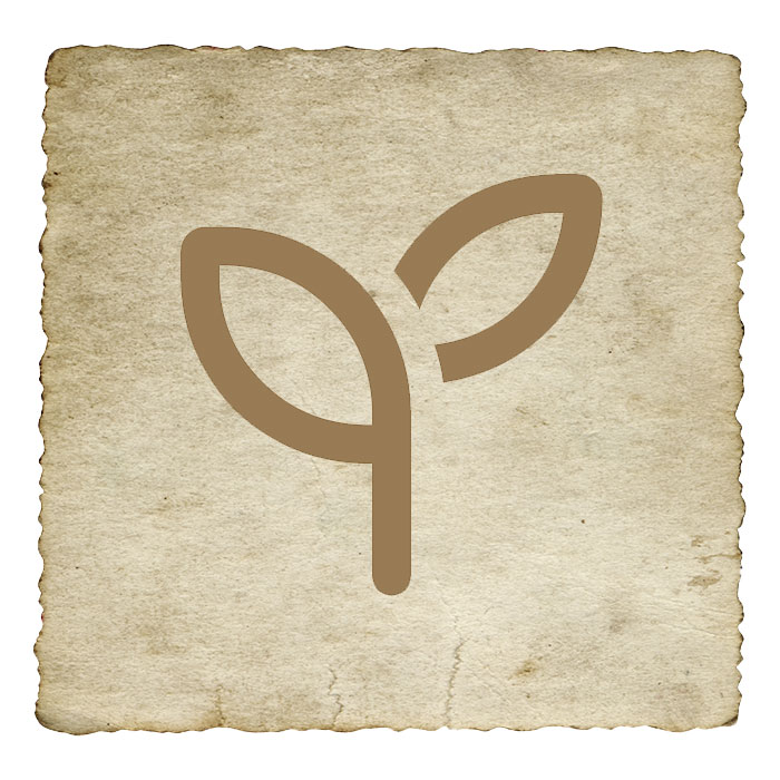 gemmotherapie-principes