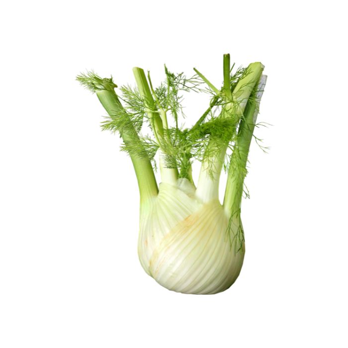 huile-essentielle-fenouil-doux