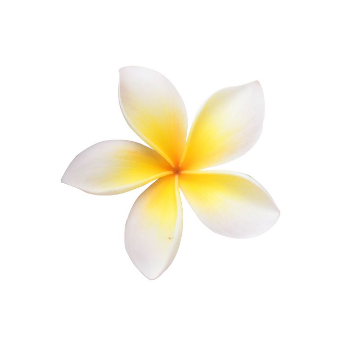 huile-essentielle-fleurs-frangipanier