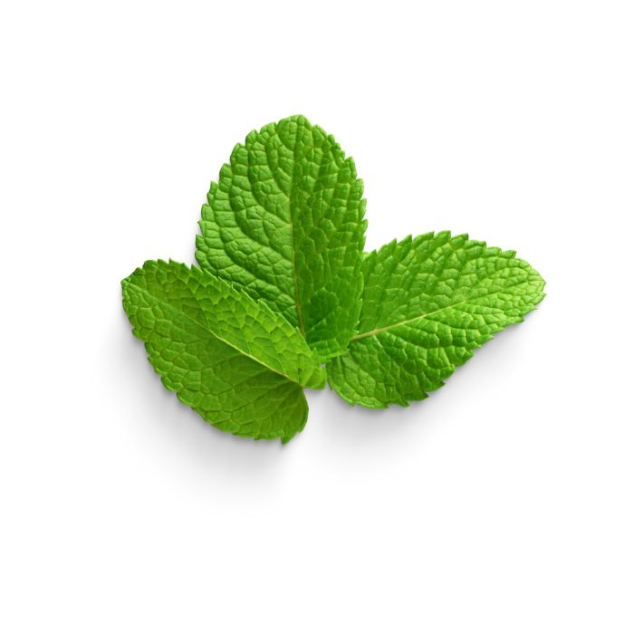 huile-essentielle-menthe-verte