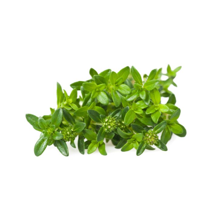 huile-essentielle-sarriette-des-montagnes