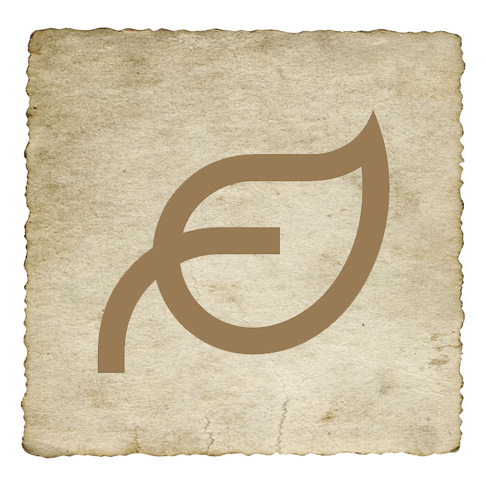 phytotherapie-utilisations