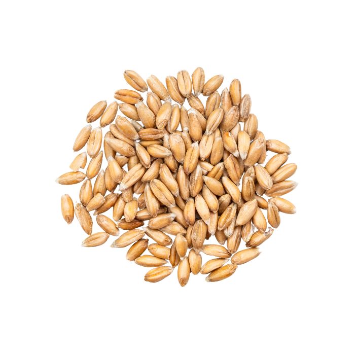 aliment-farine-d-epeautre