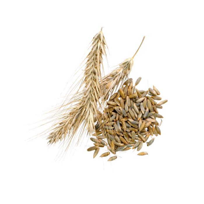 aliment-farine-de-seigle