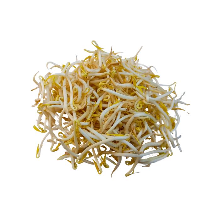 aliment-pousse-de-soja