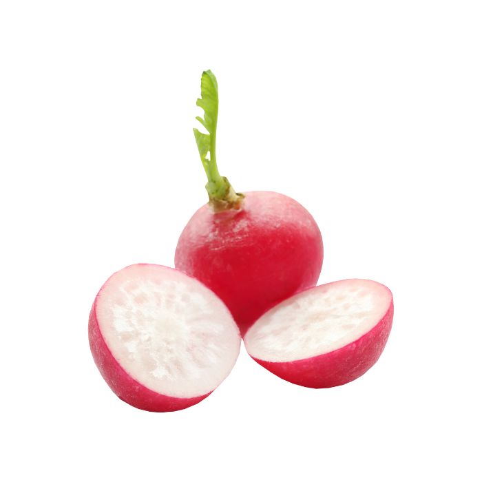 aliment-radis