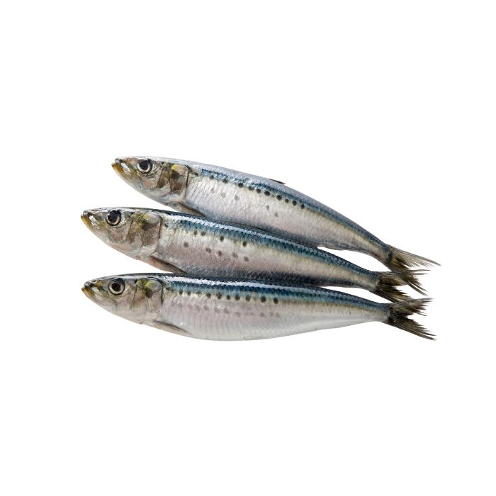 aliment-sardine
