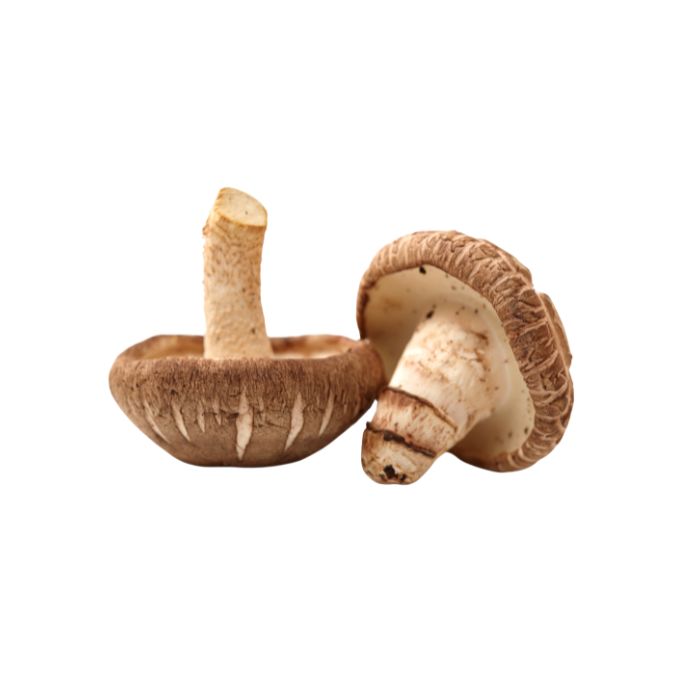 aliment-shiitake