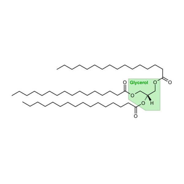 Glyceride Roots Glycérides - Guide des Nutriments de A à Z - France Minéraux