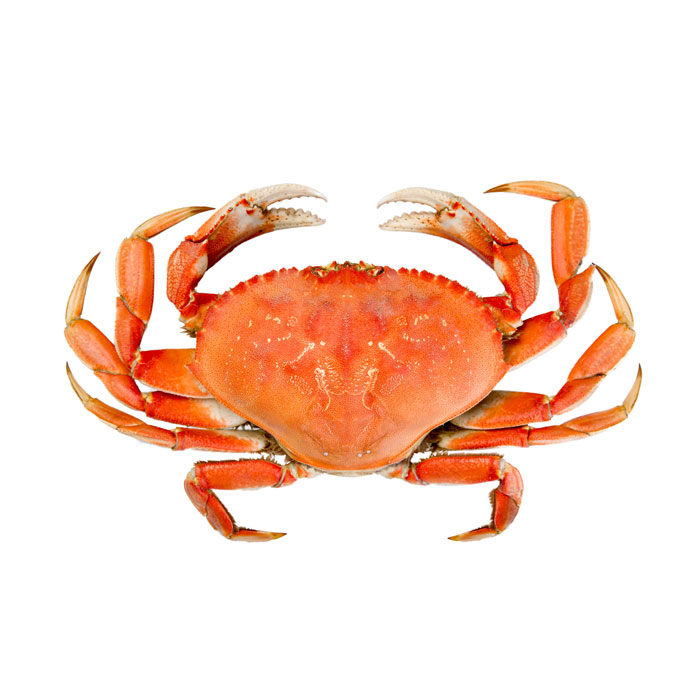 aliment-crabe