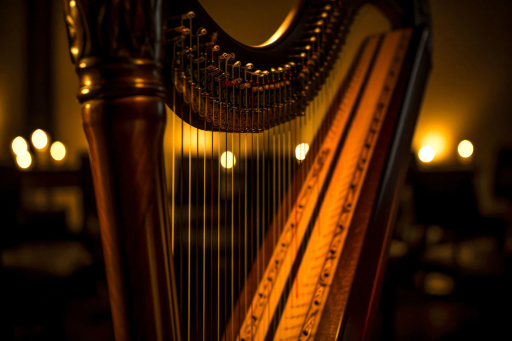 instruments-a-cordes-01