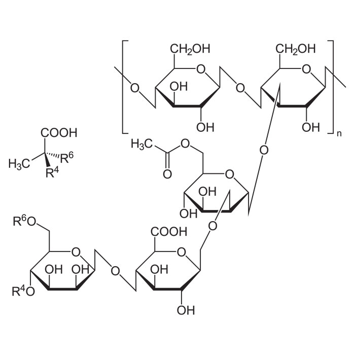 e413-gomme-tragacanthe