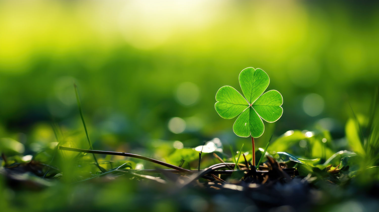 horoscope-celtique-02