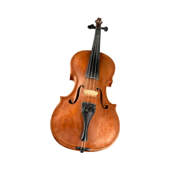 instrument-Cello-electrique