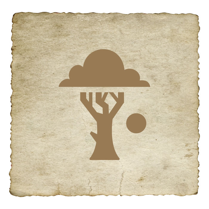 signe-astrologique-africain-baobab