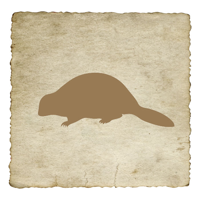 signe-astrologique-amerindien-castor