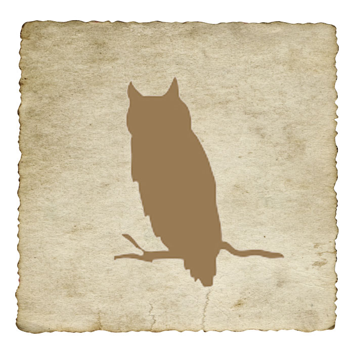 signe-astrologique-amerindien-chouette