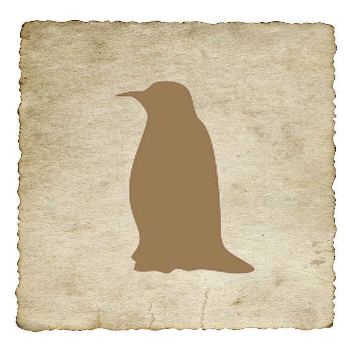 signe-astrologique-amerindien-corbeau