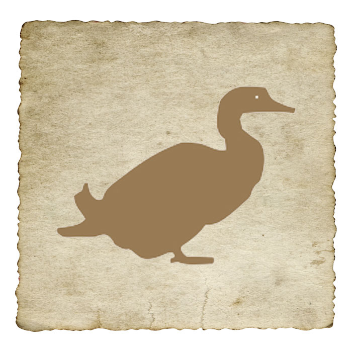 signe-astrologique-amerindien-oie