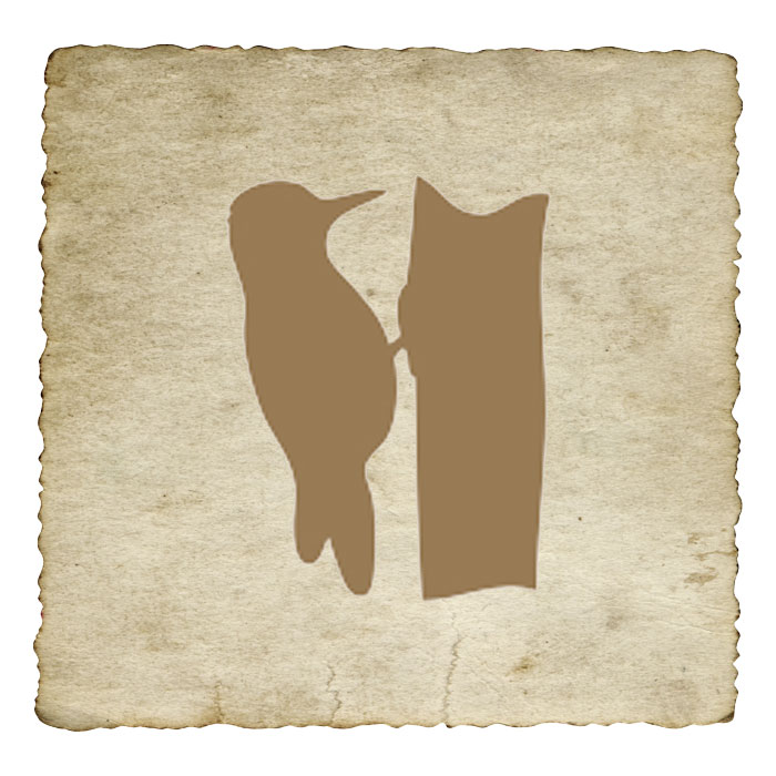 signe-astrologique-amerindien-pic-vert