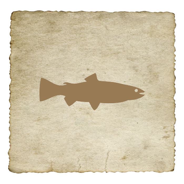 signe-astrologique-amerindien-saumon