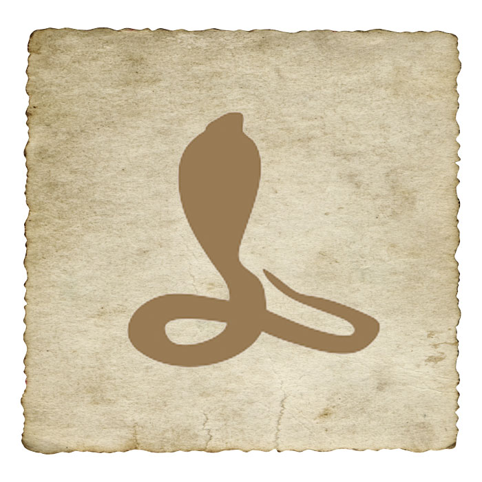 signe-astrologique-amerindien-serpent